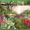 garden and rock collage garden and rock collage