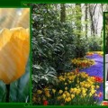 spring reading collage spring reading collage