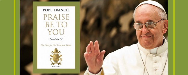 konsol Hospital Express The Theological Mind of Laudato Si' - Homiletic & Pastoral Review