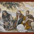 Homilies for August 2016