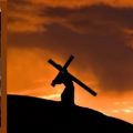 Homilies for September 2016