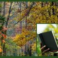 Early Fall Reading