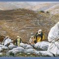 Homilies for October 2016