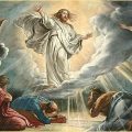 Homilies for August 2017