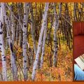 Early Fall Reading