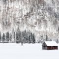 Book Reviews – January 2019